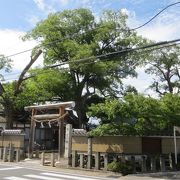 嵯峨野のもう一つの斎宮神社。