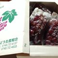 大粒の滋賀県産ぶどうをお手軽価格で。