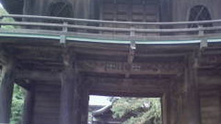 武蔵国分尼寺、僧寺をしのぶ