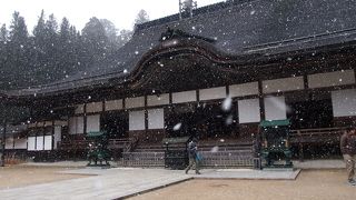 大きな主殿のお座敷でまったりできます