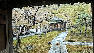 境内の雰囲気が良い。