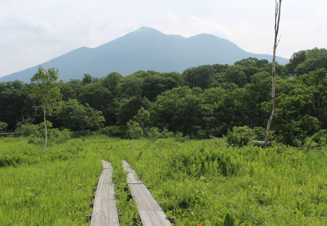 尾瀬ケ原の東端の湿原