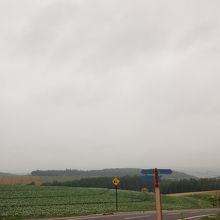 こういう看板がちょいちょいある