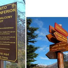 遊歩道には、各種標識が多数出ています。