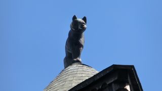 猫、確かにいる。でもそれだけ・・・