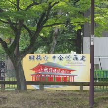 北側の道から見て。