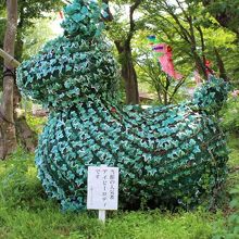 アイビーロデイ