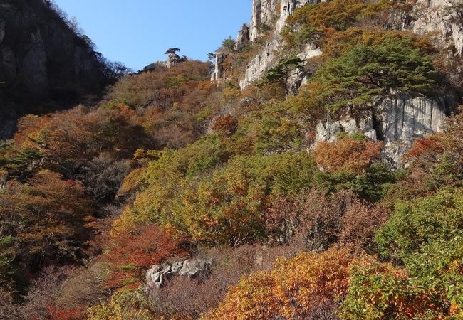 大屯山道立公園