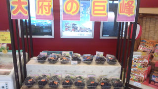 知多名産の試食がたくさんできるＰＡ