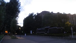 アジサイの花が咲いていた