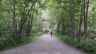 日本アルプスの神様