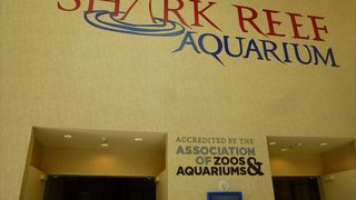 暑いベガスでの気分転換に♪