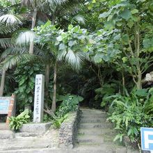 入口の先は遊歩道が整備されています。