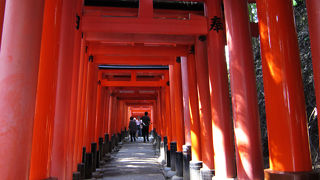 京都では外せない場所。