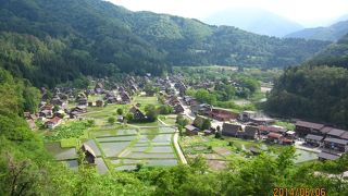 絶景ポイント！行くべきです。