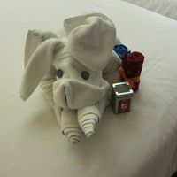 ベッドの上に置かれていたウエルカムグッズ