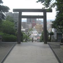 墓地と神社の境がよく分かりませんが、こちらは神社の鳥居ですね