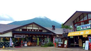 歩かずに戦場ヶ原の景観を眺めるなら、ここしかありません