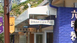 ハーバーランドのお店群から位置的には見つけにくい