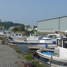 漁船かな。イカ釣り船のようなものも見られた。