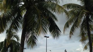 ＭＩＫＩタクシーは日本でも予約できます