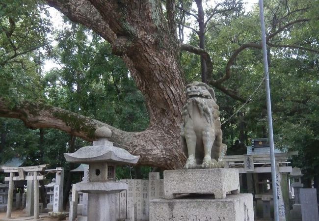 珍しい名に惹かれて立ち寄った神社