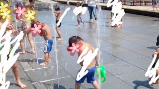 お花もいいけど水遊びも最高！