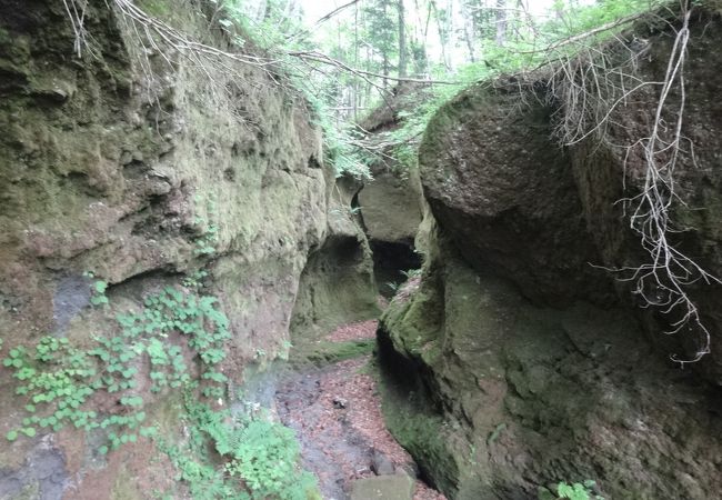 道が砂地なので歩きにくい