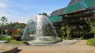 レイク・ガーデンの施設