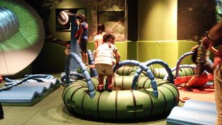 小学生以上なら喜ぶと