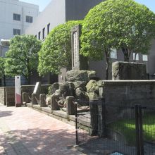 道端にあるとは思えない大きさです