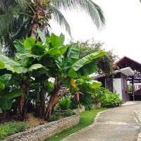 ステキに整えられた敷地内