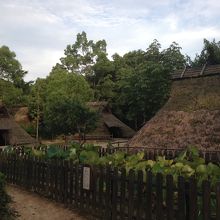 弥生の森歴史公園