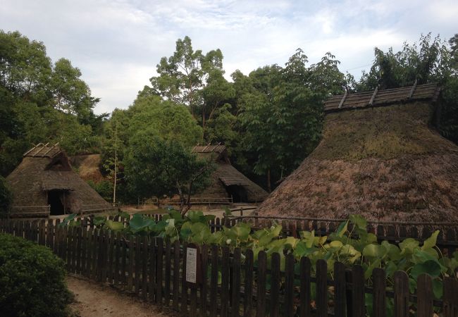 弥生の森歴史公園