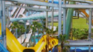 プールが楽しいです！