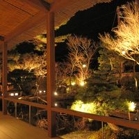 食事所の窓際からはライトアップされた庭園を眺められる