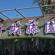 千財藤園