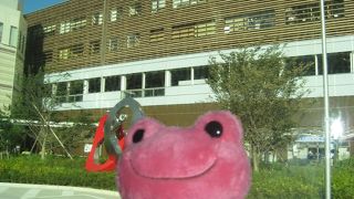 増えてほっとした。