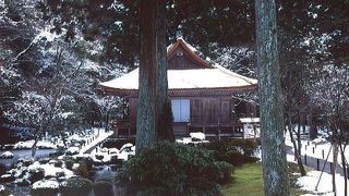 国宝の仏様と苔が美しいお寺