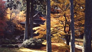 まさに東洋の宝石箱！