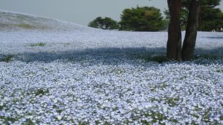 死ぬまでに行きたい！世界の絶景