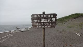 オホーツク海を一望