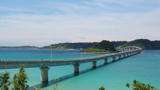 海が透き通っています。