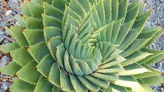 ハイキング気分で歩ける植物園