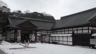 ひこにゃんに会えます♪