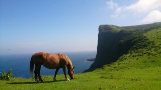 西ノ島町に来たらここを歩いて！上からもしくは下からもしくは遠くから眺めるだけではもったいなさ過ぎる＞＜