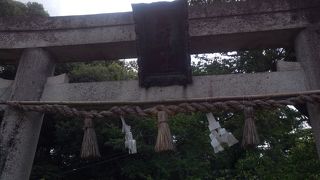緑の中の神社