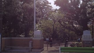 武蔵野の面影。