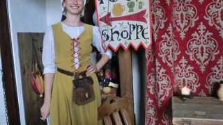 トイレまで中世☆