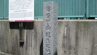 鹿児島市の観光政策、当っていると思います